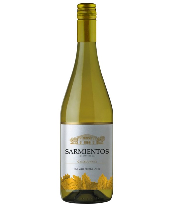 Tarapacá Sarmientos de Naltahua Chardonnay, wijn bij t Bockje in Bathmen