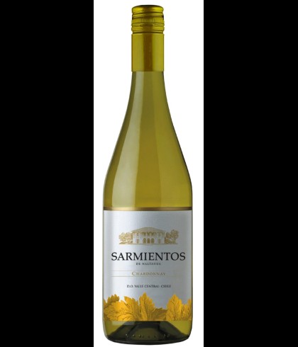 Fles Tarapacá Sarmientos de Naltahua Chardonnay, wijn op voorraad bij slijterij t Bockje in Bathmen