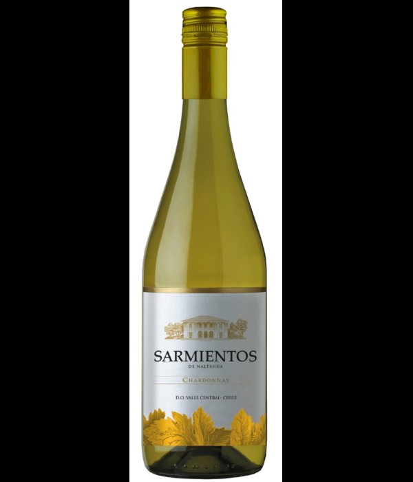 Tarapacá Sarmientos de Naltahua Chardonnay, wijn bij t Bockje in Bathmen