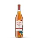 Living Souls 15Y Blended Whisky Batch #2