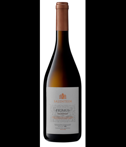Fles Salentein Primus Chardonnay, wijn op voorraad bij slijterij t Bockje in Bathmen