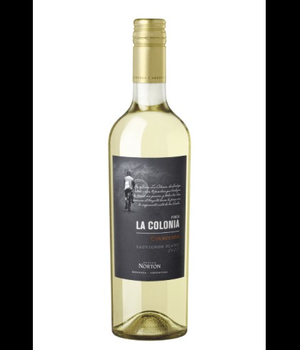 Fles Norton Finca la Colonia Coleccion Sauvignon Blanc, wijn op voorraad bij slijterij t Bockje in Bathmen