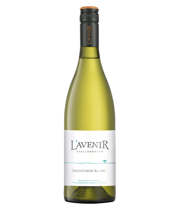 L’Avenir Horizon Sauvignon Blanc, wijn bij t Bockje in Bathmen
