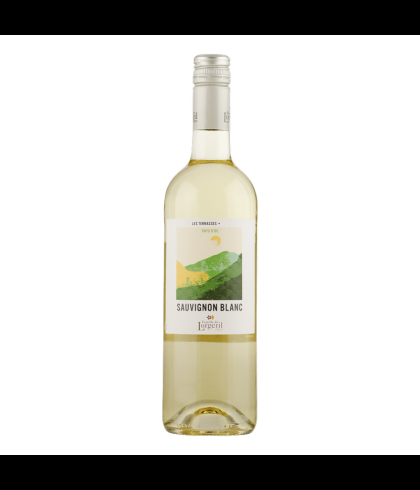 Fles Lorgeril Terrasses Sauvignon Blanc, wijn op voorraad bij slijterij t Bockje in Bathmen