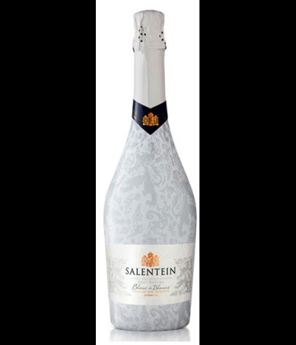 Fles Salentein Blanc de Blancs, wijn, op voorraad bij slijterij t Bockje in Bathmen
