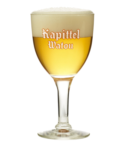 KAPITTEL WATOU bierbokaal 25cl., glas bij t Bockje in Bathmen