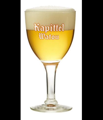 KAPITTEL WATOU bierbokaal 25cl., glas bij t Bockje in Bathmen