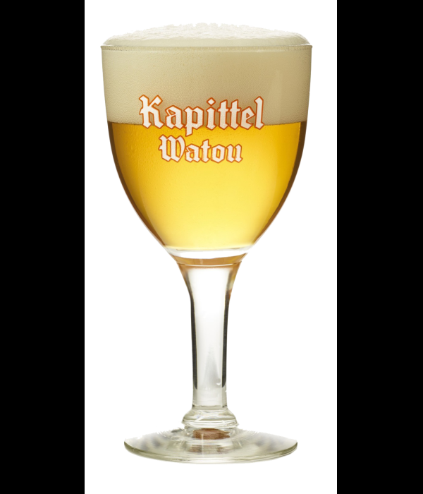 KAPITTEL WATOU bierbokaal 25cl. bij t Bockje in Bathmen