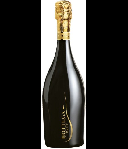 Fles Bottega Millesimato Spumante Brut, wijn op voorraad bij slijterij t Bockje in Bathmen