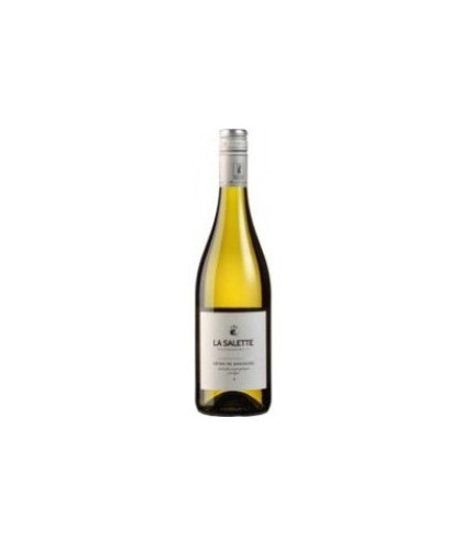 Fles Domaine La Salette Côtes de Gascogne, wijn op voorraad bij slijterij t Bockje in Bathmen