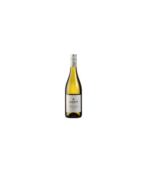 Domaine La Salette Côtes de Gascogne, wijn bij t Bockje in Bathmen