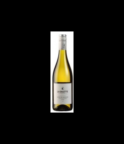 Fles Domaine La Salette Côtes de Gascogne, wijn op voorraad bij slijterij t Bockje in Bathmen