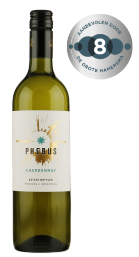 Fles Phebus Chardonnay Mendoza, wijn, op voorraad bij slijterij ’t Bockje in Bathmen