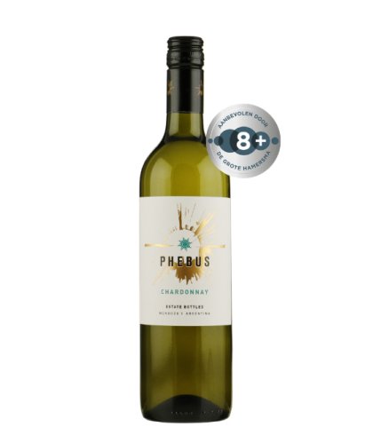 Fles Phebus Chardonnay Mendoza, wijn, op voorraad bij slijterij t Bockje in Bathmen