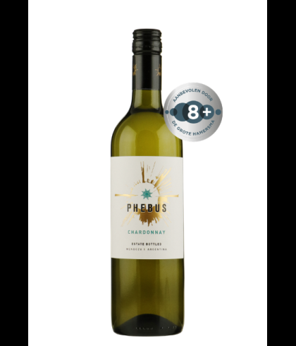 Fles Phebus Chardonnay Mendoza, wijn, op voorraad bij slijterij t Bockje in Bathmen