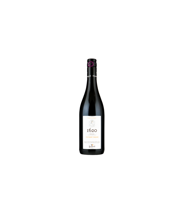 Lorgeril 1620 pinot noir, wijn bij t Bockje in Bathmen