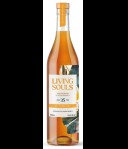 Living Souls Port Dundas 35 Years Old