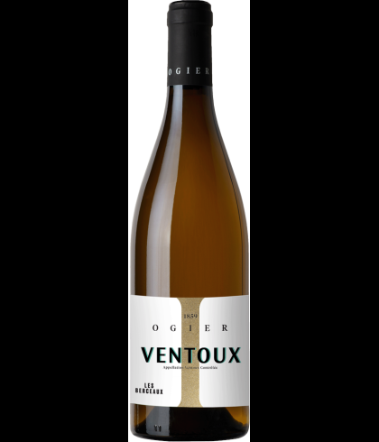 Fles Ogier Ventoux Blanc Les Berceaux, wijn op voorraad bij slijterij t Bockje in Bathmen