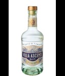 Villa Ascenti Gin