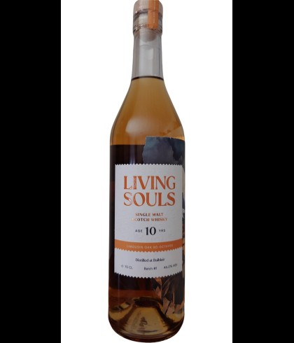 Fles Living Souls Balblair 10 Years Old, single malt whisky, op voorraad bij slijterij t Bockje in Bathmen