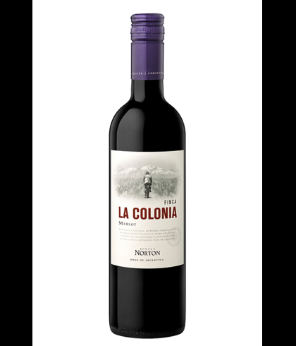 Fles Norton Finca La Colonia Merlot, wijn op voorraad bij slijterij t Bockje in Bathmen