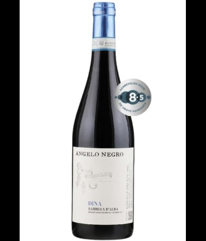 Fles Angelo Negro Dina Barbera d'Alba, wijn op voorraad bij slijterij t Bockje in Bathmen