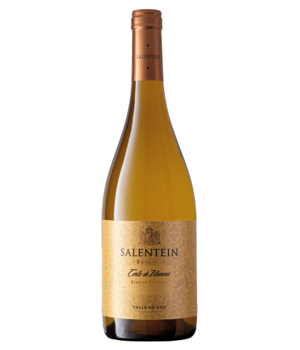 Fles Salentein Corte, wijn op voorraad bij slijterij t Bockje in Bathmen