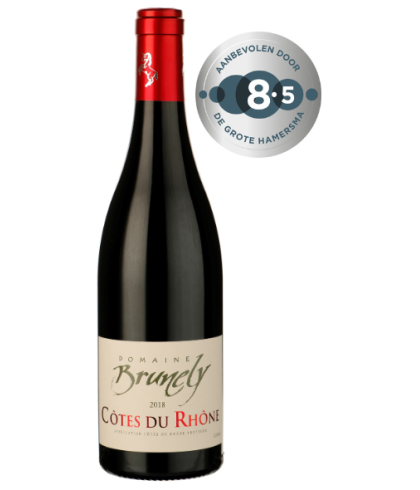 Fles Domaine Brunely Côtes du Rhône Rouge, wijn op voorraad bij slijterij t Bockje in Bathmen
