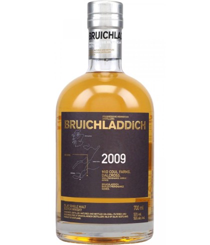 Fles Bruichladdich The 2009, whisky, op voorraad bij slijterij t Bockje in Bathmen