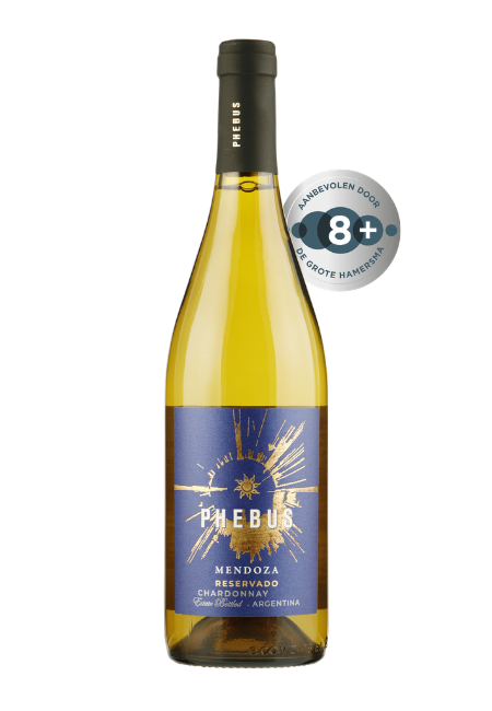 Fles Phebus Reservado Chardonnay Mendoza, wijn, op voorraad bij slijterij t Bockje in Bathmen