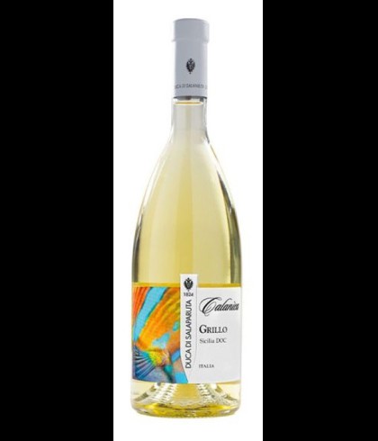 Fles Duca di Salaparuta Grillo, wijn op voorraad bij slijterij t Bockje in Bathmen