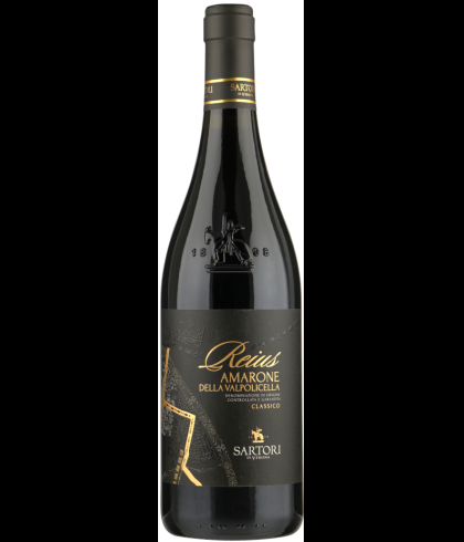 Fles Sartori Amarone della Valpolicella Classico Reius, wijn op voorraad bij slijterij t Bockje in Bathmen