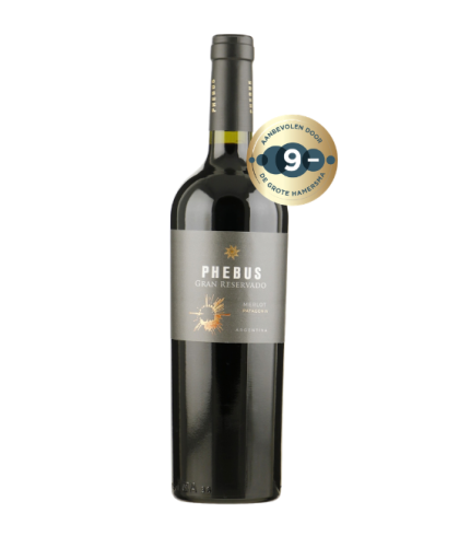 Fles Phebus Gran Reservado Merlot Patagonia, wijn, op voorraad bij slijterij t Bockje in Bathmen