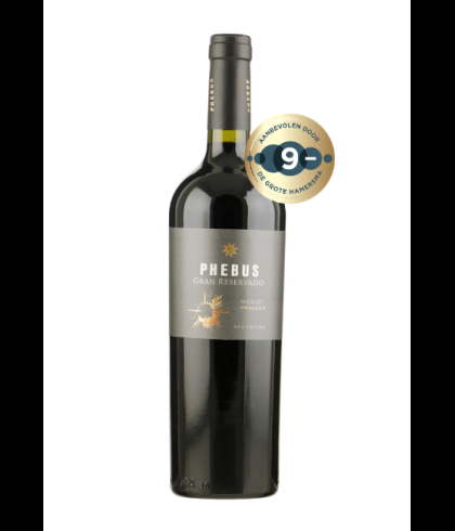 Fles Phebus Gran Reservado Merlot Patagonia, wijn, op voorraad bij slijterij t Bockje in Bathmen