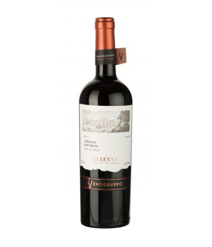 Fles Ventisquero Reserva Cabernet Sauvignon Valle Maipo, wijn op voorraad bij slijterij t Bockje in Bathmen