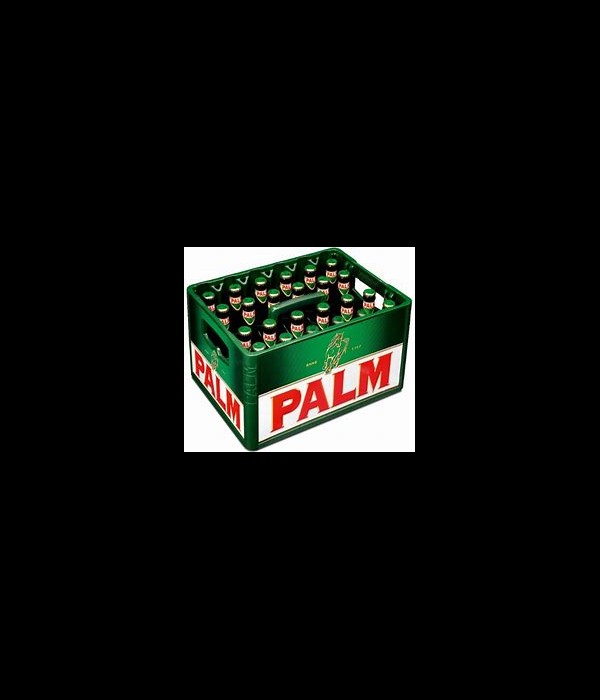 Palm bij t Bockje in Bathmen