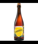 Kasteel Tropical