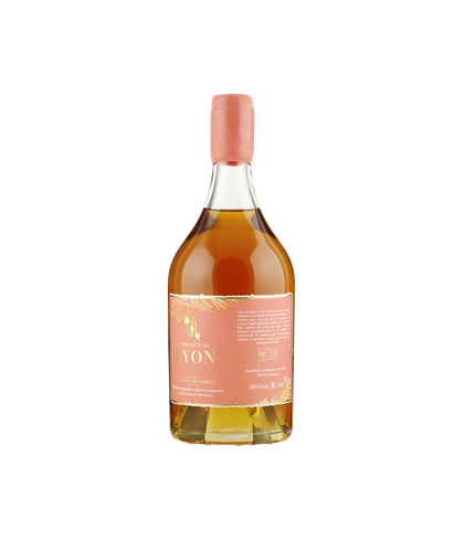 Ferragut De Lyon Armagnac VS, op voorraad bij slijterij t Bockje in Bathmen