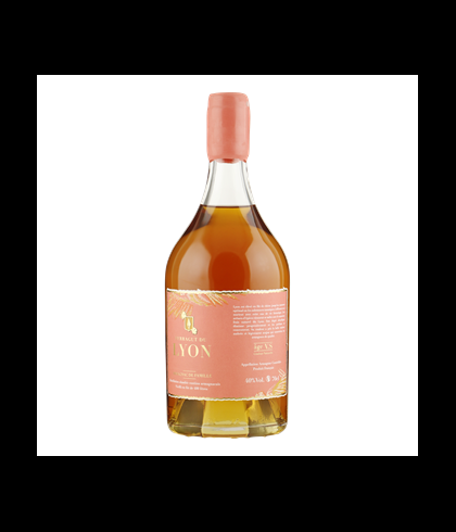 Ferragut De Lyon Armagnac VS, op voorraad bij slijterij t Bockje in Bathmen