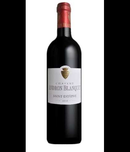 Fles Château Andron Blanquet, wijn op voorraad bij slijterij t Bockje in Bathmen