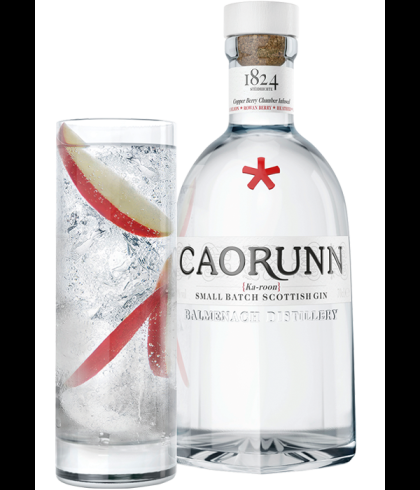 Fles Caorunn Scottisch Gin, gin, op voorraad bij slijterij t Bockje in Bathmen
