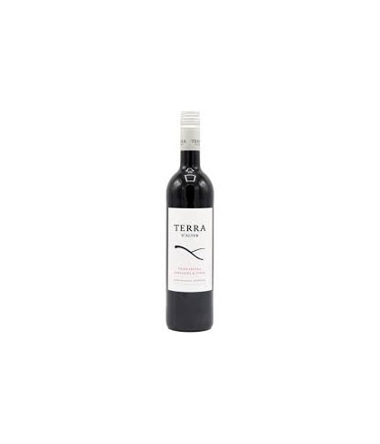 Fles Terra D'Alter Tinto, wijn, op voorraad bij slijterij t Bockje in Bathmen