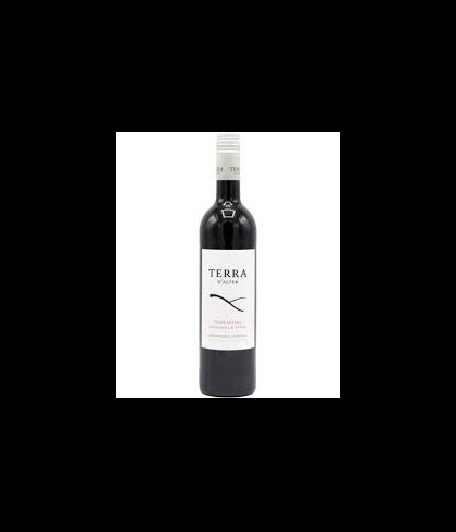 Fles Terra D'Alter Tinto, wijn, op voorraad bij slijterij t Bockje in Bathmen