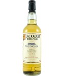 Blackadder The English 7 Years Old