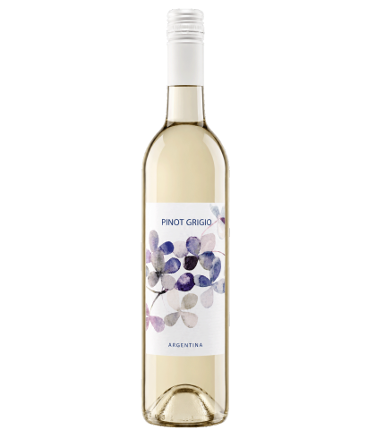 Fles Pinot Grigio Argentina, wijn, op voorraad bij slijterij t Bockje in Bathmen