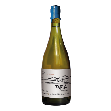 Tara Atacama Viognier No. 3