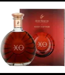 Remy Martin XO Anish Kapoor