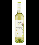 BIOREBE Pinot Grigio Biologisch Vegan