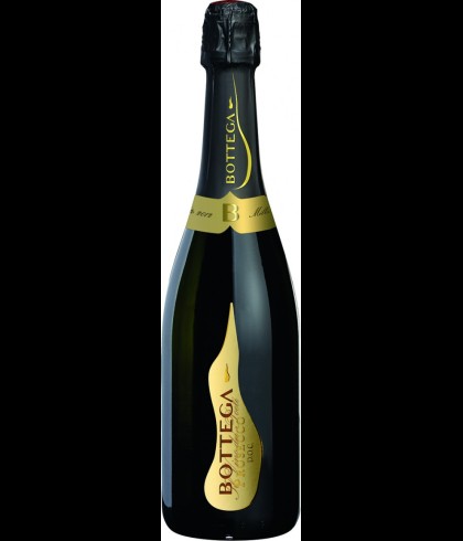 Fles Bottega Vino Dei Poeti Prosecco, wijn op voorraad bij slijterij t Bockje in Bathmen