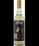 Silent Ambassador Ardmore 11Y